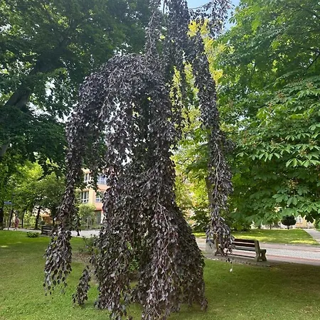 Emerald Przy Deptaku *