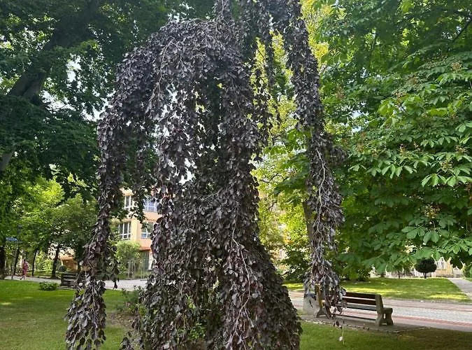 Emerald Przy Deptaku *